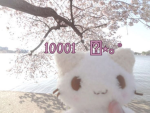 10001