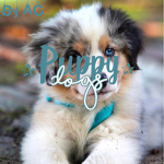 •Puppy dogs•
