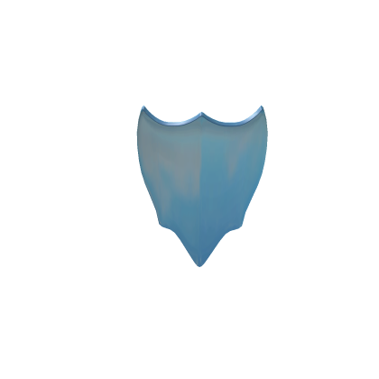 Shield Accessory