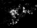 Solden~Soul