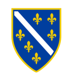 COY Bosnian Forces