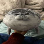 moneyingagaga
