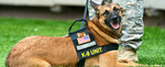 K9 Handler Group