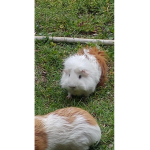 Cocos freinds<3