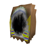 DIY Egg Dominus