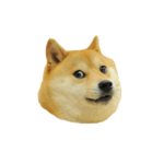 SirDogeIIIII fan group!!!