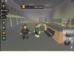 Cousins play Roblox together