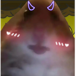 Tik tokerr