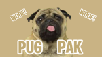 Pug Pak