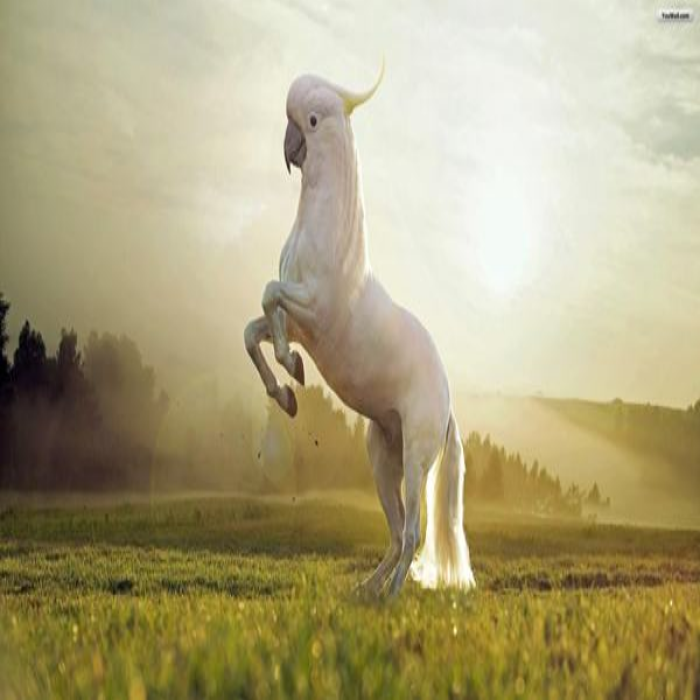 Funny Animal Hybrid 14 Roblox decal