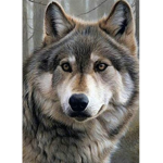 WolfWillow13 Plays