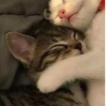 friendships that last forever
