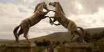 ·House Dothraki·