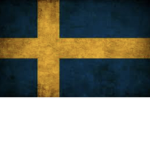 Swedish military grupp