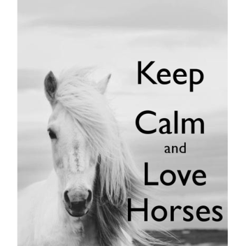 Dreams Come True Stables [V.1.5]