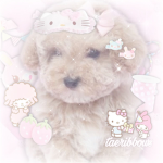 ~its_darling!~