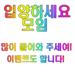 입양하세요 모임(많이 와주세요)