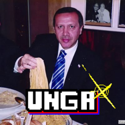 Unga
