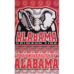 14u Alabama team
