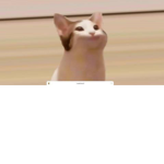 TheHonestPopCat