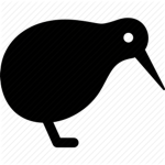 {Kiwi Clothing}