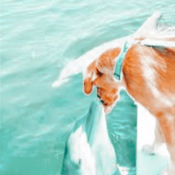 𝐑