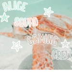 Alice Squad Gaming Crew