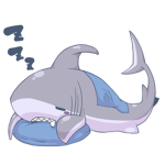 Sharks stay