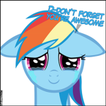 rainbow dash for girls