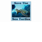 Save the Turtlez Squad!