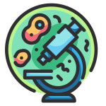 IB/AP Biology Study Game