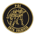 PDI ERTA