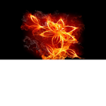 Fire Cafee