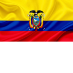 LUIS DAVID MG