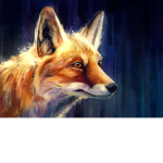 Fox nation Clothing