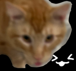 cat ppl group
