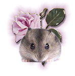 hamster fangroup