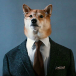 Doge Nation DNBO