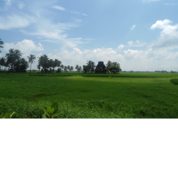 Flat Plains