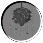 TREE Organization
