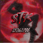 SHOOT TO KILL {STK}