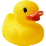 The Duck Association
