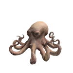 Octopus Crown Hat