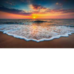 ~oceanbreezes~