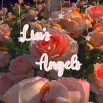 ｡ﾟ• Lia's Angels ｡ﾟ•