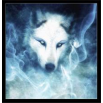 The White Wolves Of The World
