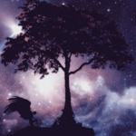 Angelic Universe