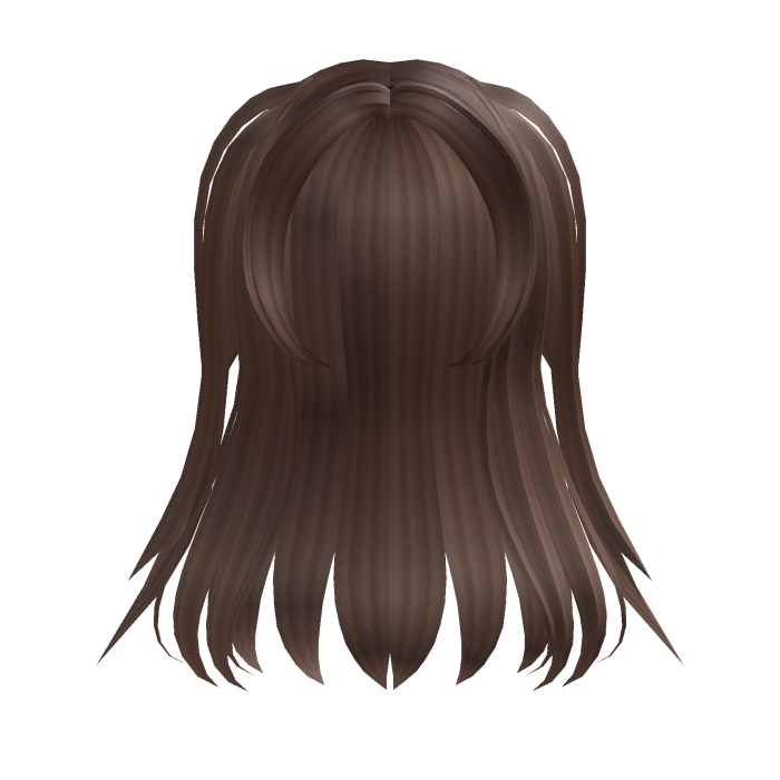 Long Straight Layered Hair in Brown