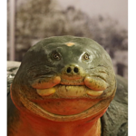 Turtle Ganggggg