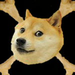 Black doge studios